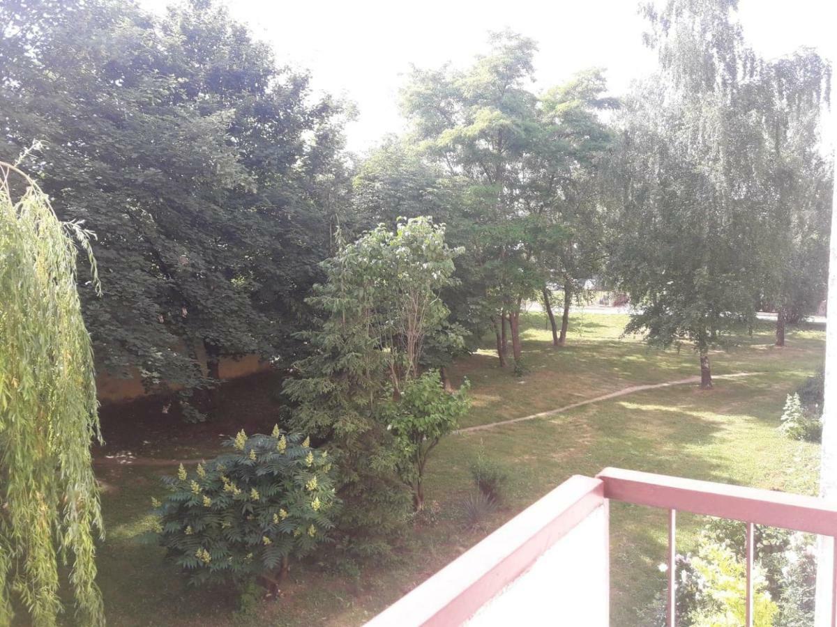 Apartament Krolewski Sandomierz Exterior photo